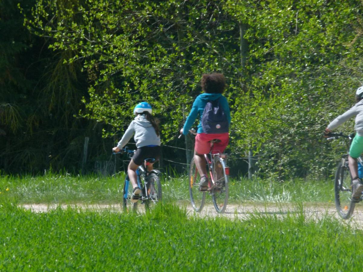 Au Milieu De Nulle Part Au Du Der Gasthof Outines