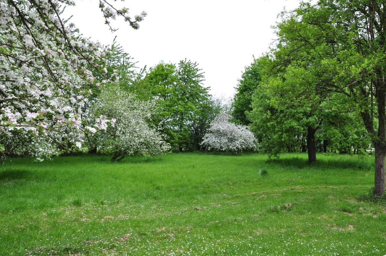Au Milieu De Nulle Part, Et écologiques Au Du Der Pensión *